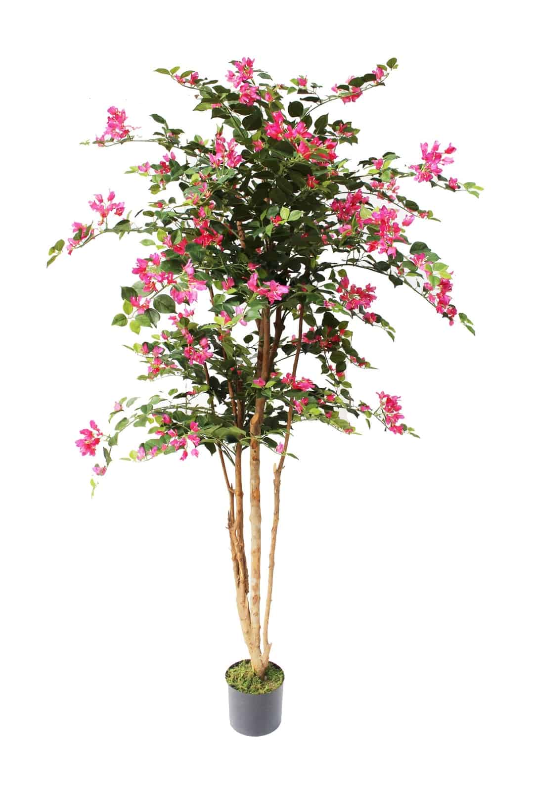 Buy Artificial Trees and Plants Online plantART